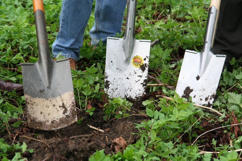 pepiniere-LA LONDE LES MAURES-min_work-lawn-flower-tool-green-backyard-1103633-pxhere.com